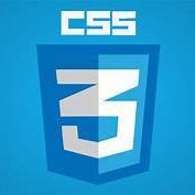 CSS logo